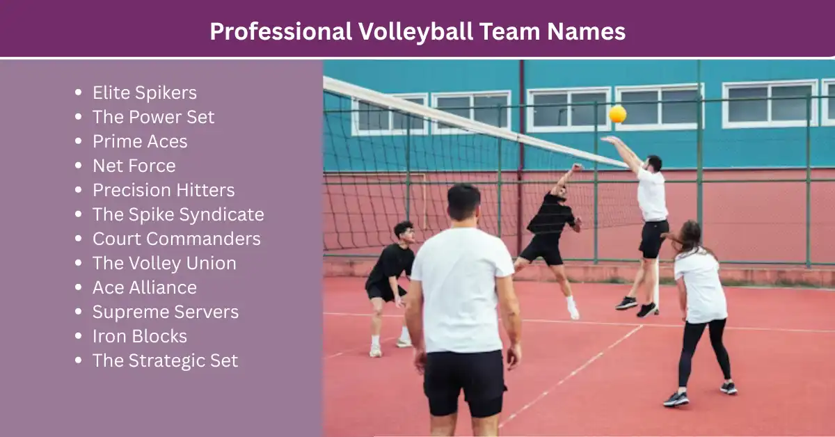 professional volleyball team names