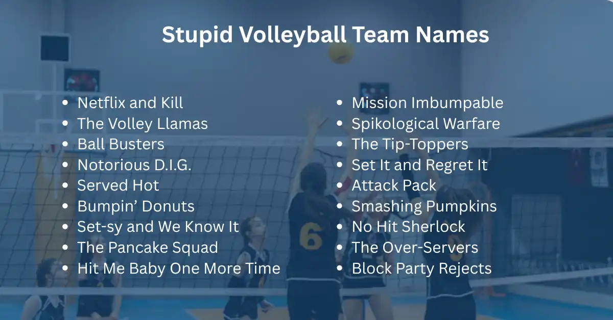 stupid volleyball team names