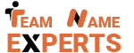 Team Name Experts logo