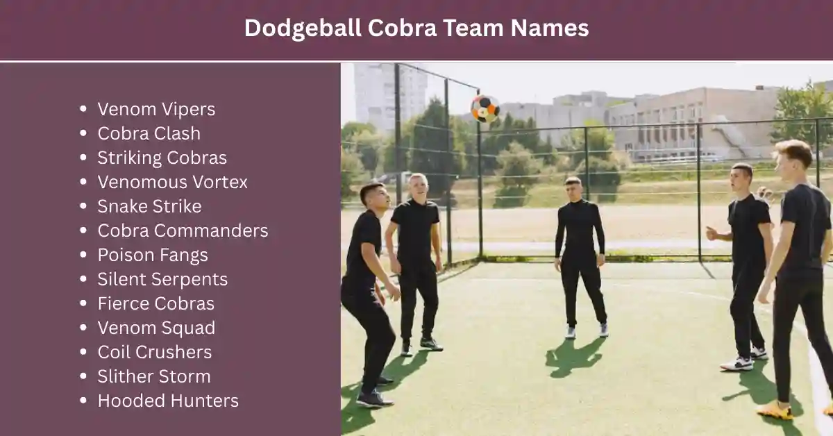 dodgeball cobra team names