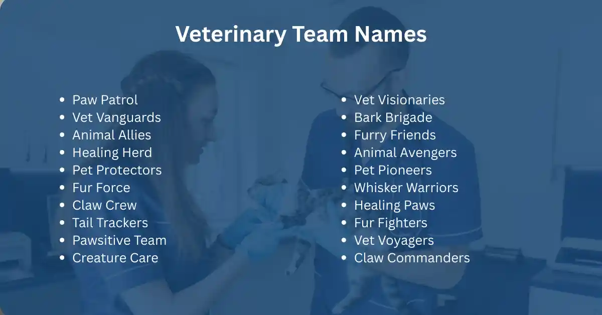 vaterinary team names