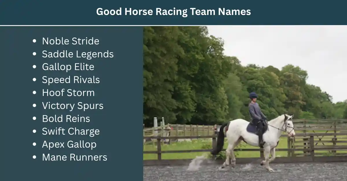 good horse racing team names