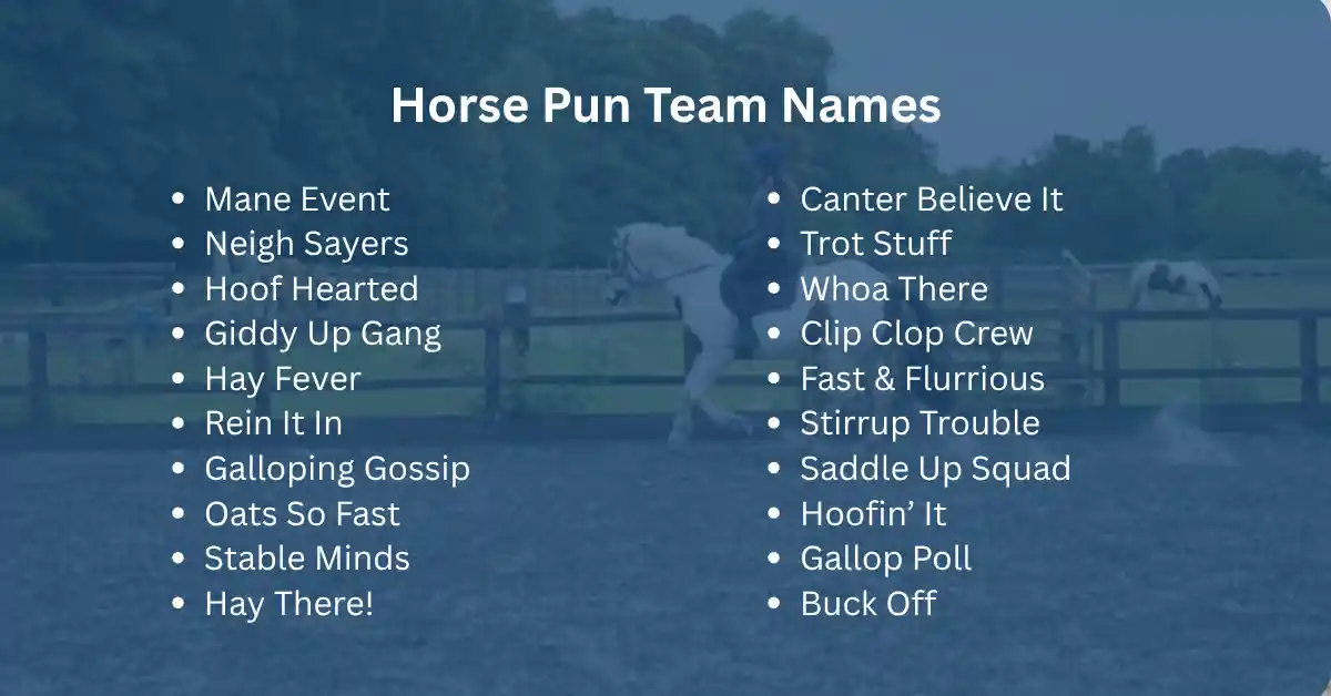 horse pun names