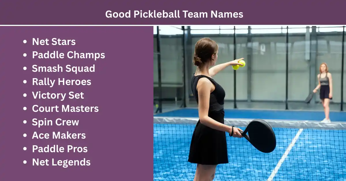 good pickleball team names